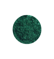 Dazzling Shamrock - Show Shimmer